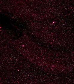 Pink Gellac - Dramatic Red - Gellak - Vegan - Rood - Shimmer Finish - 15 Ml -Chique Cosmetica Winkel 1050x1200 38