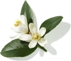 Lancôme Poême 30 Ml - Eau De Parfum - Damesparfum -Chique Cosmetica Winkel 1200x1019