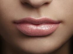 L'Oréal Paris Color Riche Shine Lippenstift - 658 Topless -Chique Cosmetica Winkel 1200x891