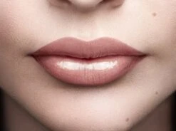 L'Oréal Paris Color Riche Shine Lippenstift - 658 Topless -Chique Cosmetica Winkel 1200x895