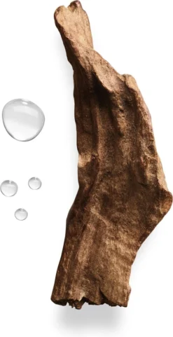 Giorgio Armani Acqua Di Gio Absolu 75ml - Eau De Parfum - Herenparfum -Chique Cosmetica Winkel 616x1200